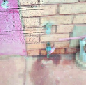 Patensie Primary School left without water after theft