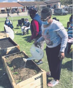 Community gets veg in a box training