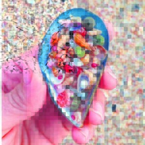 Sea treasures in Shell Museum