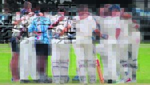 Nico Malan se krieketspan skitter