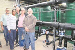 Water purifying plants to help beat dry taps