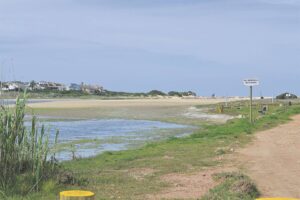Untreated wastewater allegedly travels to beaches in the Kouga region