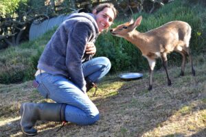 Wildlife sanctuary – a must to visit