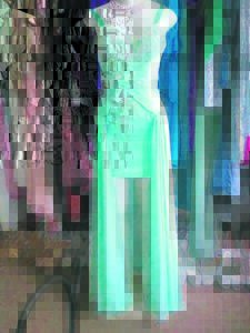 Reward offered for information on dress-burglar