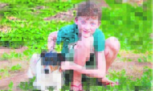 GLA in the ‘dog box’ for a cause