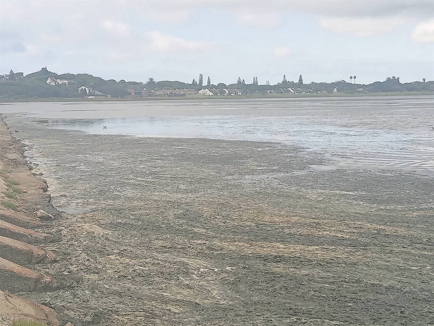 Foul, stench, residents,  Seekoei Estuary