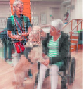 Dog handlers, therapy dogs, encouraged to join worthy cause