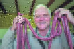 Boerewors en Kareedouw is soos vinkel en koljander