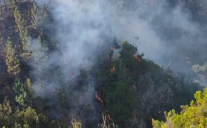 WATCH | Fire at Bloukrans, Tsitsikamma section of Garden Route National Park caused by lightning