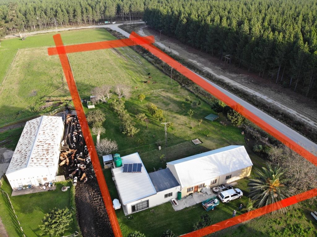 van rensburg auctions