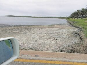 Estuary remains closed despite improved water quality