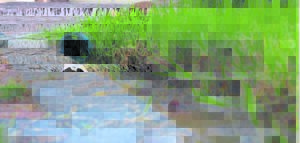 Thousands of litres of water wasted