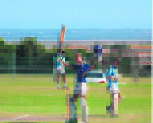 Cricket player king with bat