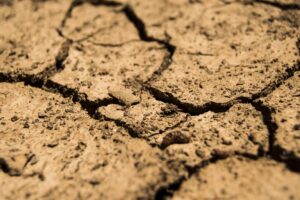 Kouga secures R12.5 million for drought-relief