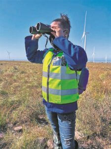 Wind power mitigation measures to conserve bird life