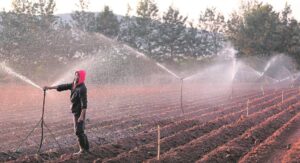 Water quotas increased from 40% to 85%