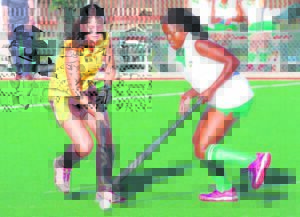 Woodridge hosts Co-Ed Hockey Festival