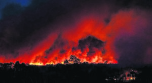 Bush-clearing of residential properties starts in St Francis