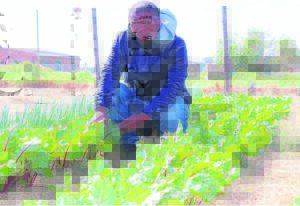 Organic garden empowers and feeds learners