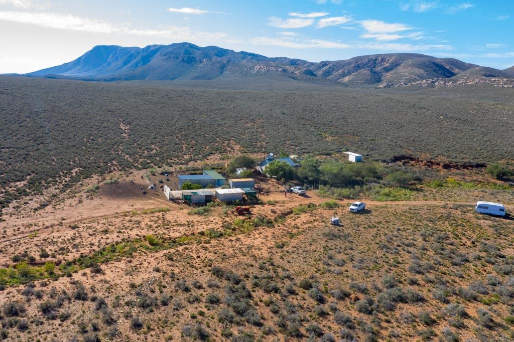 van rensburgs auctions