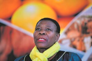 Strenger beheer kom oor vervoer van vee weens bek-en-klouseer