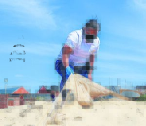 Woodlands help clean beaches