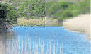 GKS declares protected areas