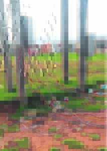 Boy (5) electrocuted by illegal connection