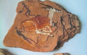 Tinus Galant’s artistic journey