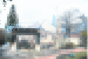 Thirteen houses destroyed