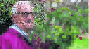 Groen vingers en honderde tamaties