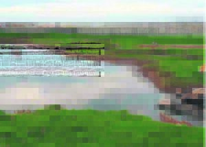 Rou riool het C-plek inwoners op hol