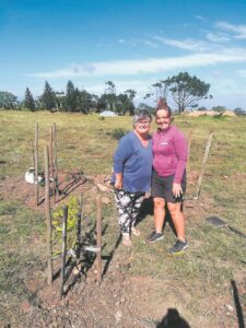 Array of trees planted to beautify JBay golf course