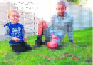 Sissende ‘gaste’ hou slangvanger besig