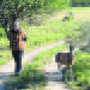 First-ever botanical guide for the Baviaanskloof