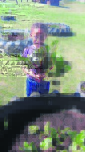 Preschoolers enjoy healthy produce from garden