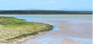 It’s just like riding a bicycle . . .