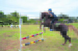 Kabeljauws Equestrian hosts training show