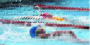 Swimmers showcase their talent