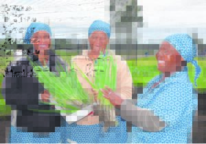 Food gardens grow hope in Tsitsikamma