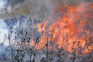 Ban on controlled burns lifted