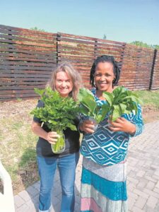 The Green Box continues to provide platform for local farmers