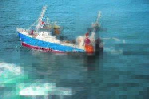 Work on grounded fishing vessel continues