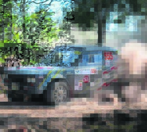 Rally cars to rev it in Loerie