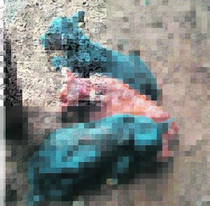 Drieling laat boer se oë rek