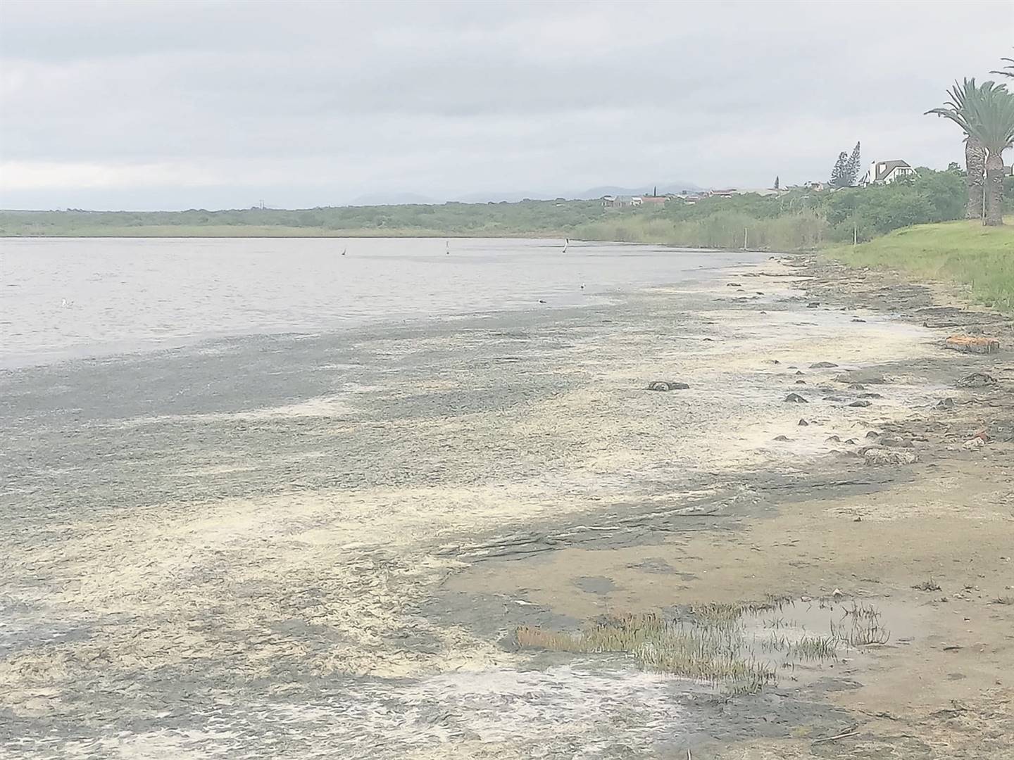 Foul, stench, residents,  Seekoei Estuary