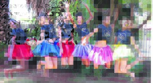 Laerskool vier eeu met fees