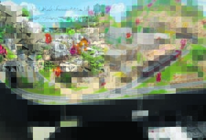 Oesterbaai wonder is miniatuur, maar merkwaardig