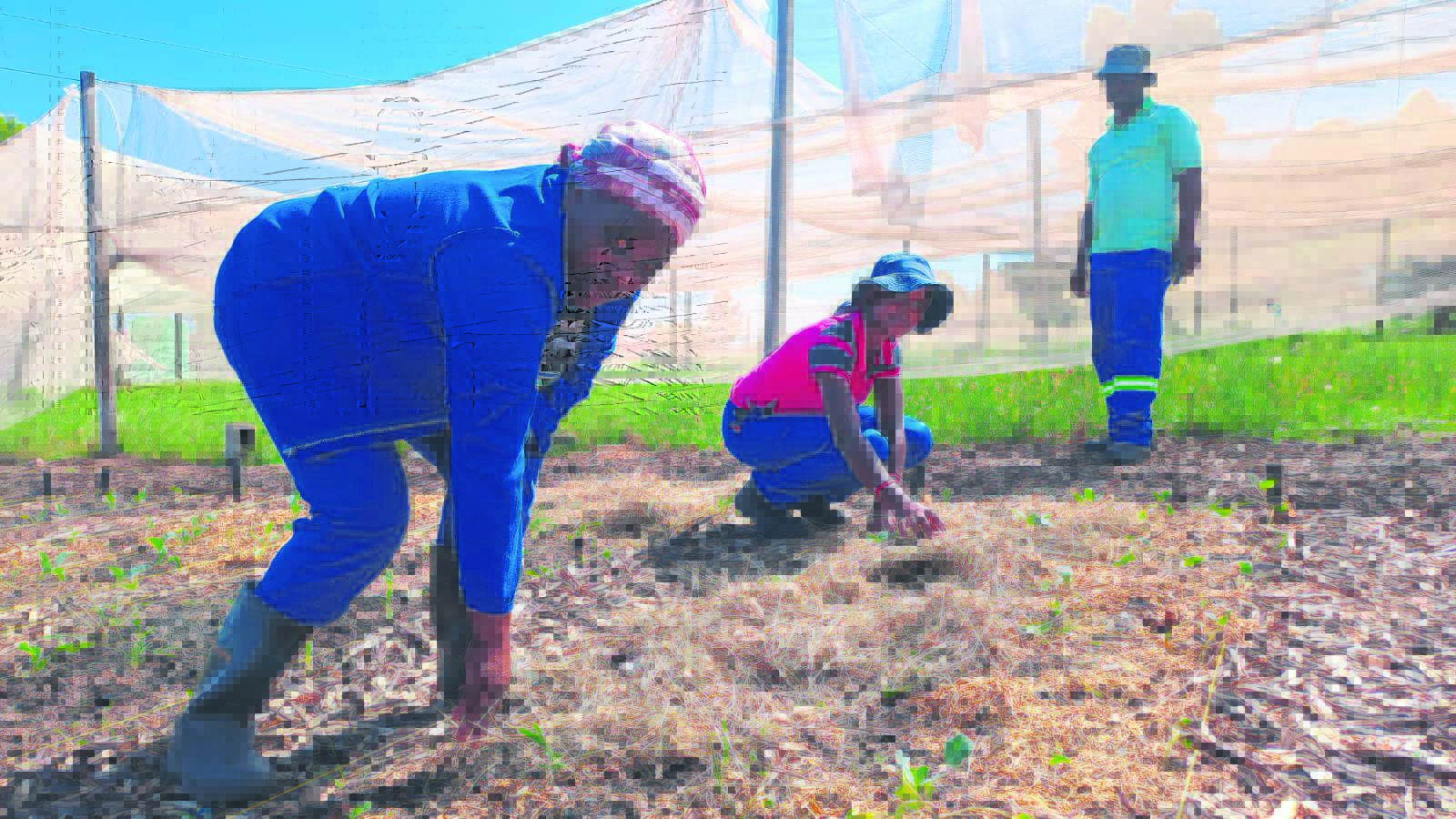 Partnership formed to assist unemployed