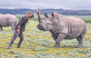 WATCH | Kouga’s ‘Rhino Whisperer’ shares life story in documentary